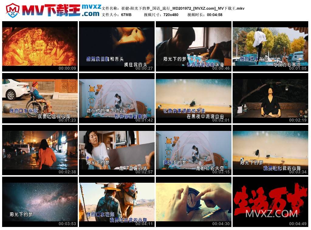 崔健-阳光下的梦_国语_流行_MD201972